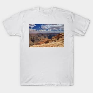 850_7066 T-Shirt